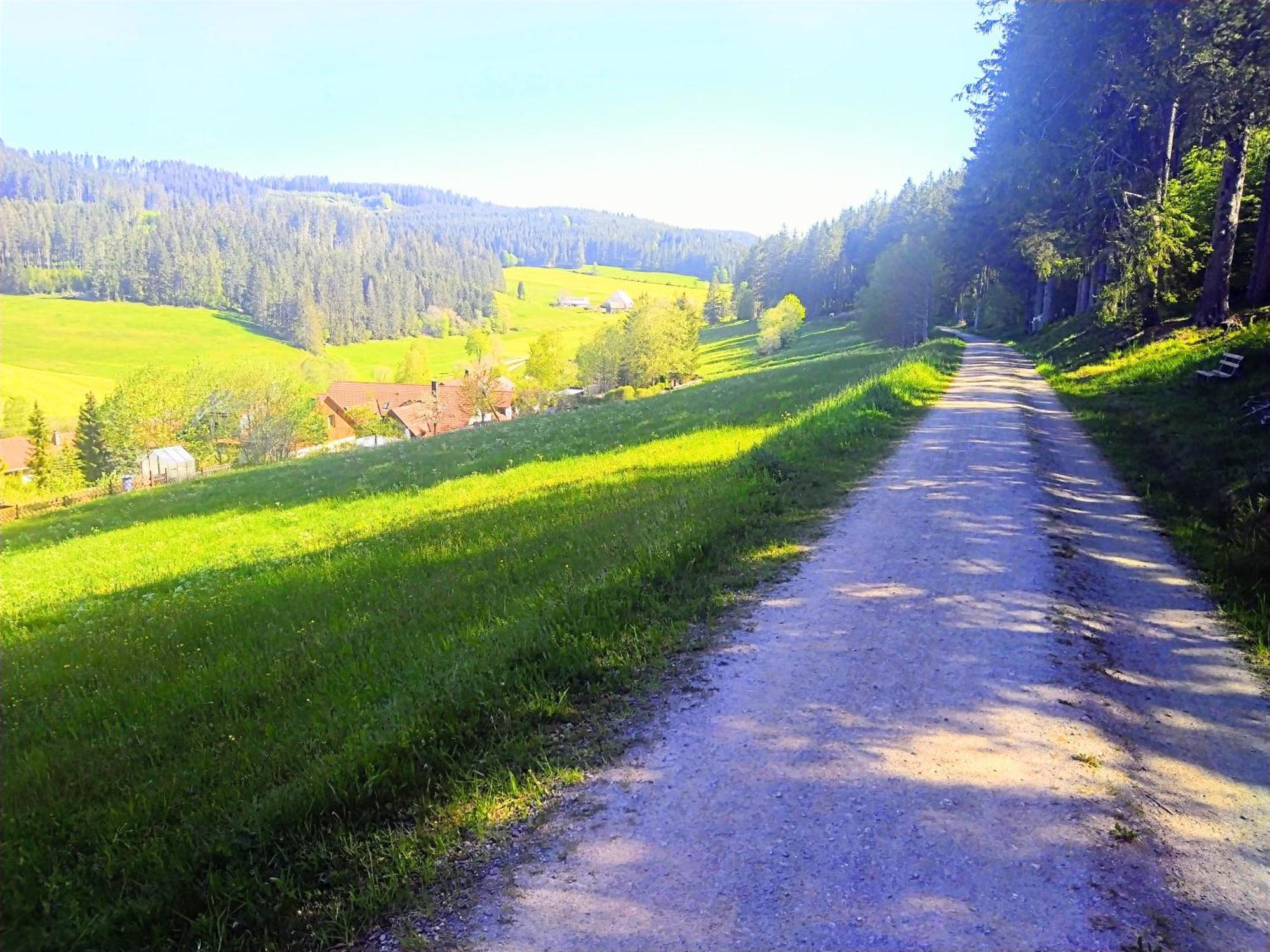 Romantic Style Apartment Titisee-Neustadt Exterior foto